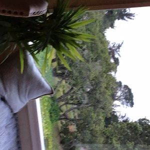 Meet your Posher, Jennie